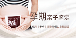锡林郭勒盟怀孕如何办理亲子鉴定，锡林郭勒盟办理孕期亲子鉴定流程