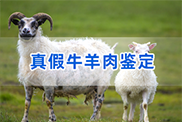 锡林郭勒盟羊类动物鉴定